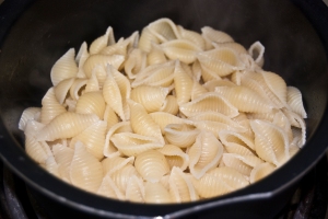 Shell Pasta Boiled and drained in a pot